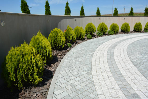 Best Driveway Paving Near Me  in Harlem, GA